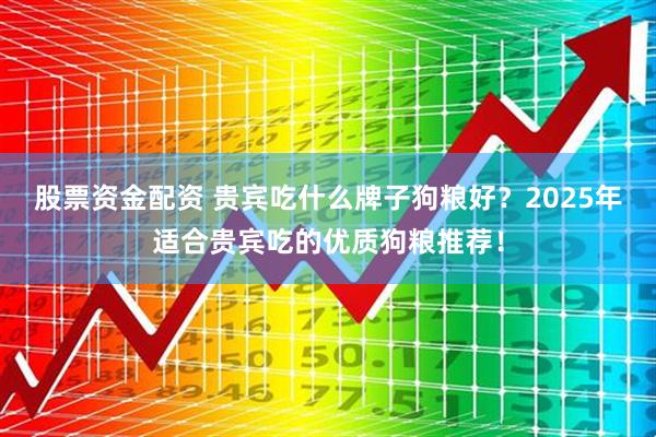 股票资金配资 贵宾吃什么牌子狗粮好？2025年适合贵宾吃的优质狗粮推荐！