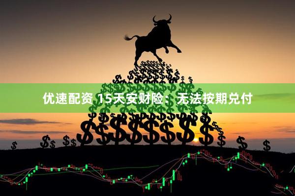 优速配资 15天安财险：无法按期兑付