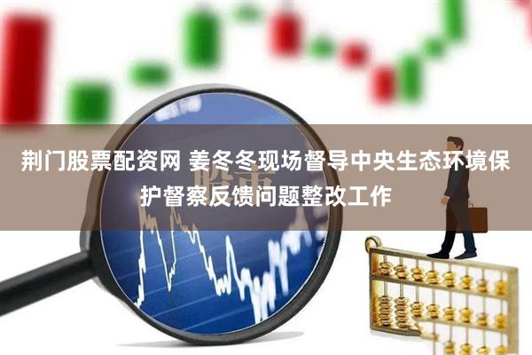 荆门股票配资网 姜冬冬现场督导中央生态环境保护督察反馈问题整改工作